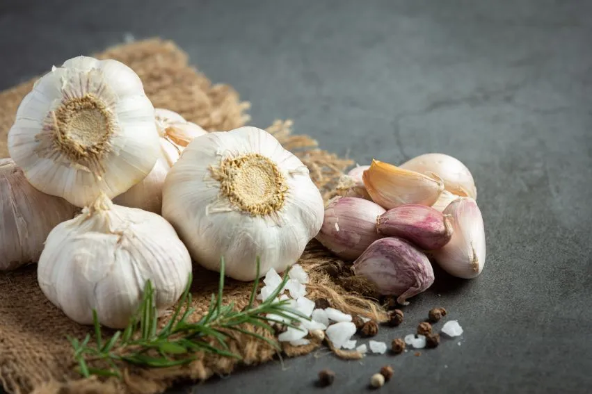 Does Garlic Kwai Odorless Help Cardiovascular Function?