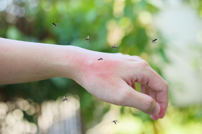 prevent mosquito bites
