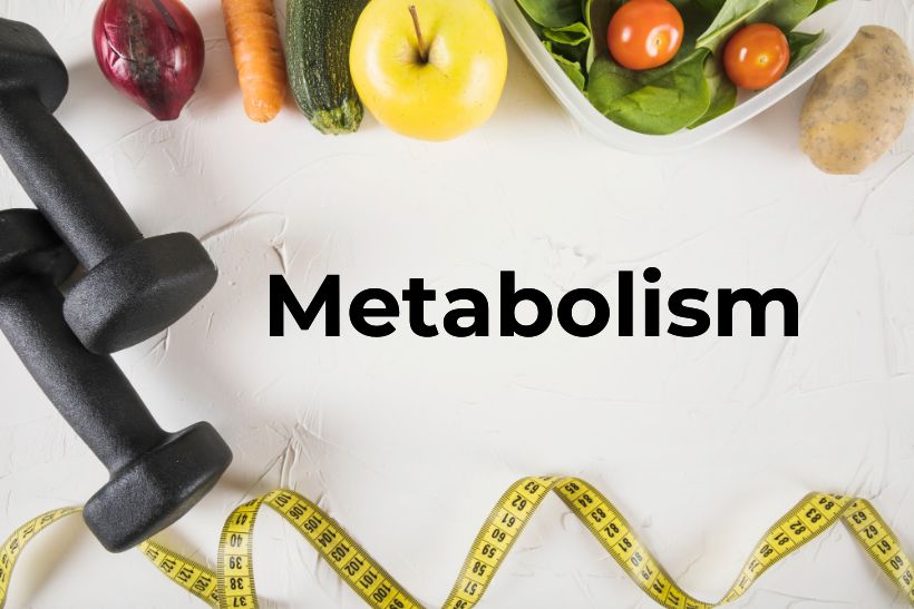 types of metabolism