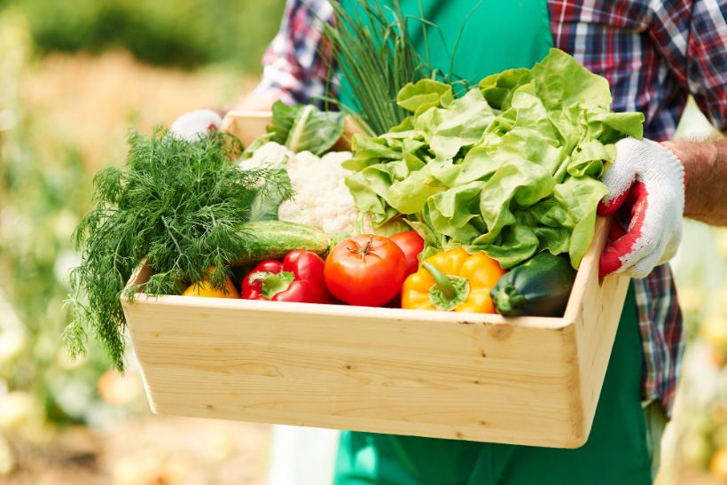 Is Organic Food Really Better? 