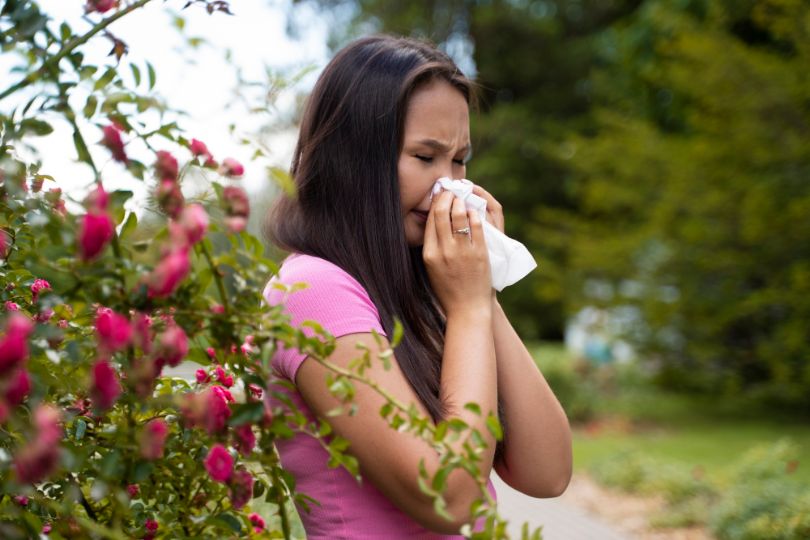 What is Hay Fever?