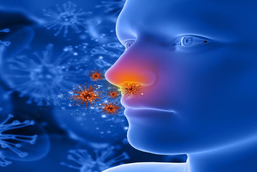 What Are Allergy Control Products?