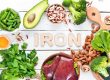 Food Sources of Iron
