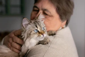 Senior woman lovingly hugging a long-haired cat with blue eyes, concept for allergy medicine for cats.